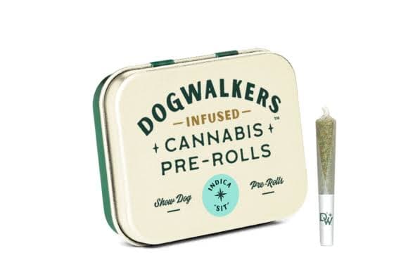 Dogwalkers