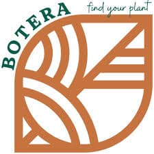 Botera