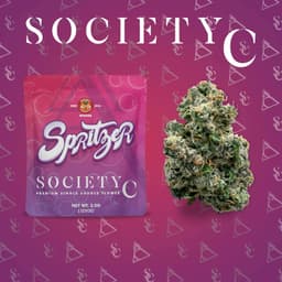 Society C