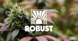 Robust Reserve