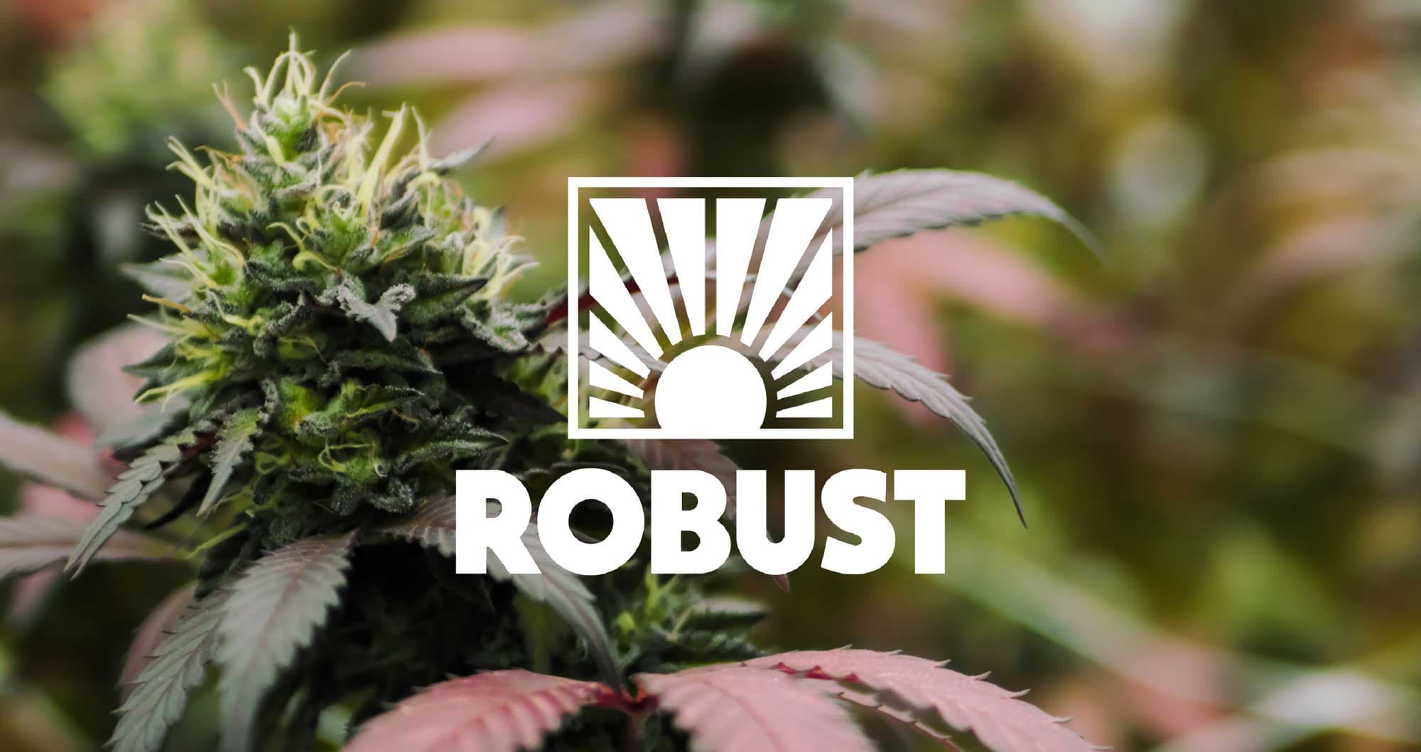 Robust Reserve