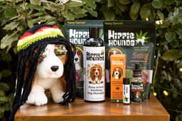 Hippie Hounds