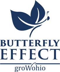 Butterfly Effect