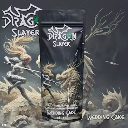 Dragon Slayer