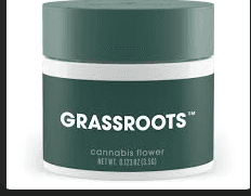 Grassroots