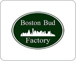 Boston Bud Factory