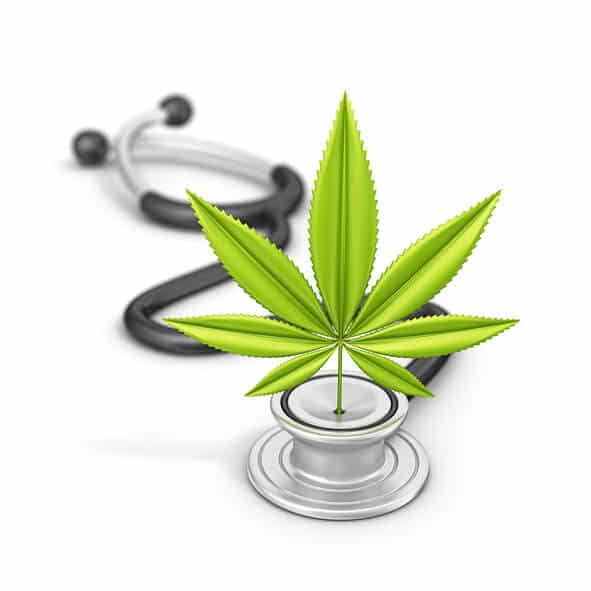 Medical Marijuana Miami