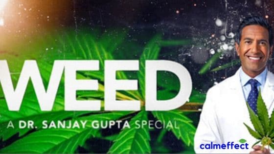 Campaigning for Cannabis: Meet the Frontline Advocates Pushing for Legalization