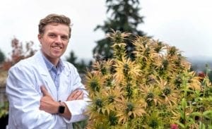 Medical Marijuana Doctor Next to Plant