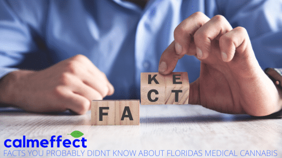 3 Fun Florida Medical Marijuana Flower Facts Facts You Probably Didn't Know About Florida's Medical Cannabis