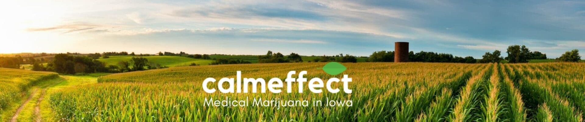 Medical Marijuana in Iowa