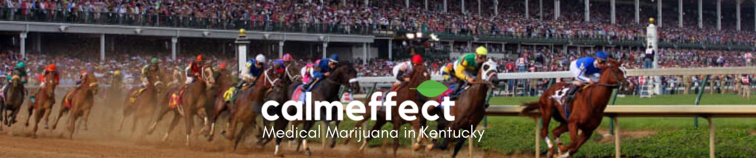 Medical Marijuana in Kentucky