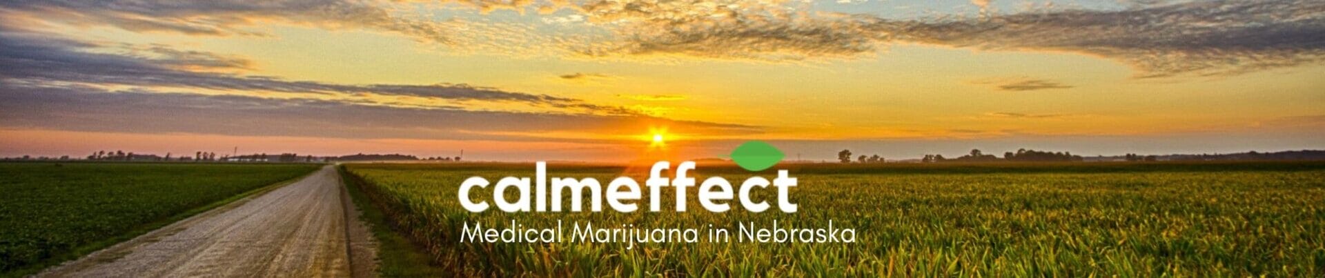 Medical Marijuana in Nebraska