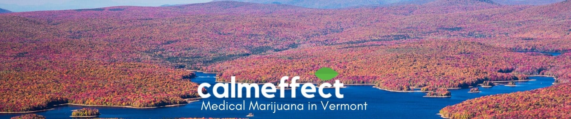 Medical Marijuana in Vermont