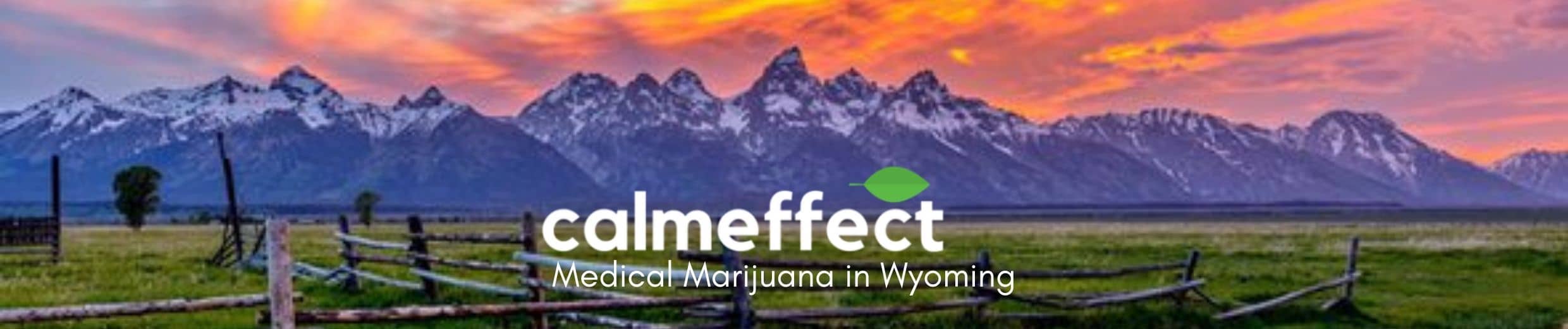 Medical Marijuana in Wyoming