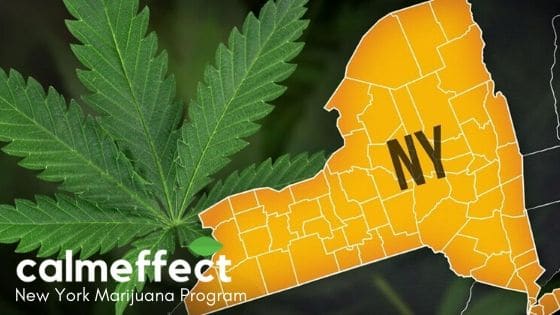 New York Marijuana Program