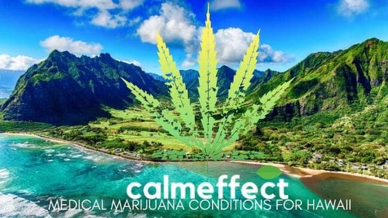 Medical Marijuana Conditions for Hawaii
