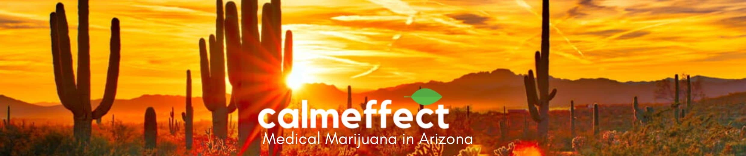 Medical Marijuana in Arizona