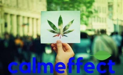 3 Step Process Works Medical Marijuana in Nevada