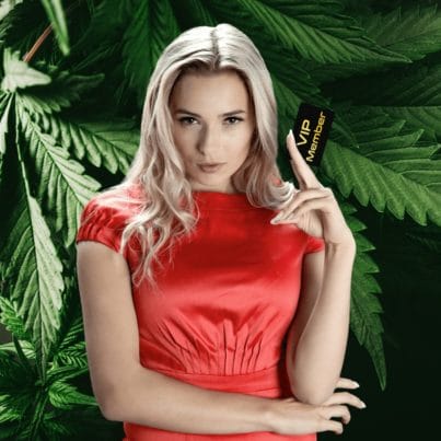 Marijuana Dispensaries in Alaska