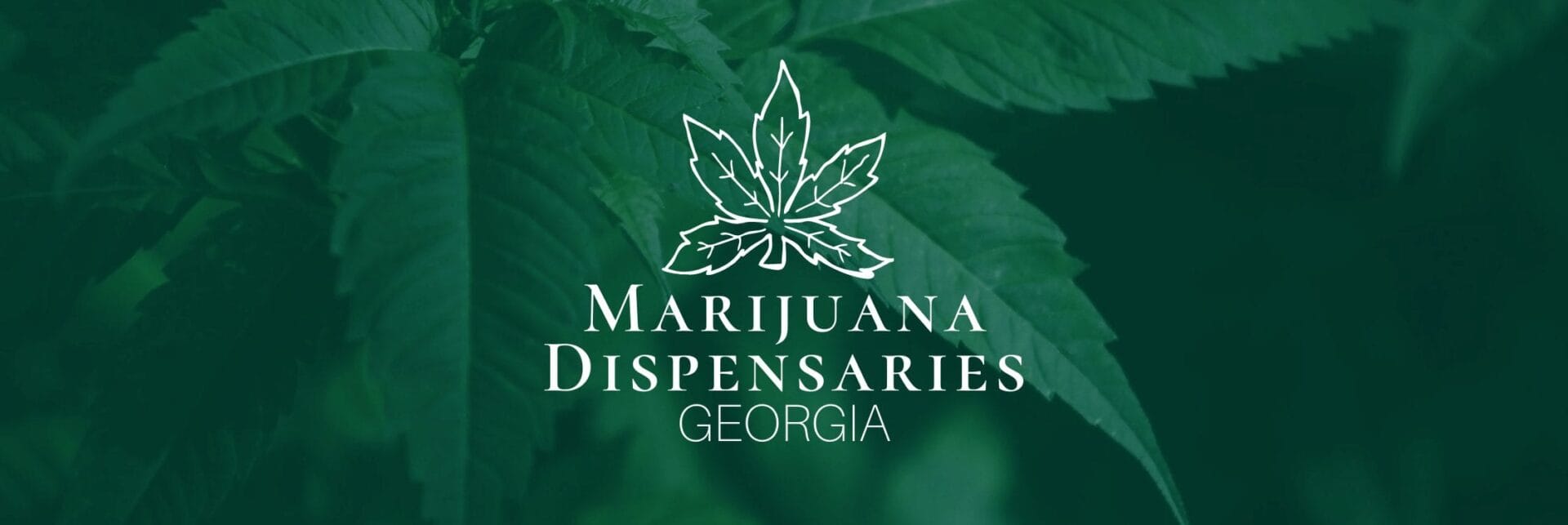 Marijuana Dispensaries in Georgia Marijuana Dispensaries in Georgia