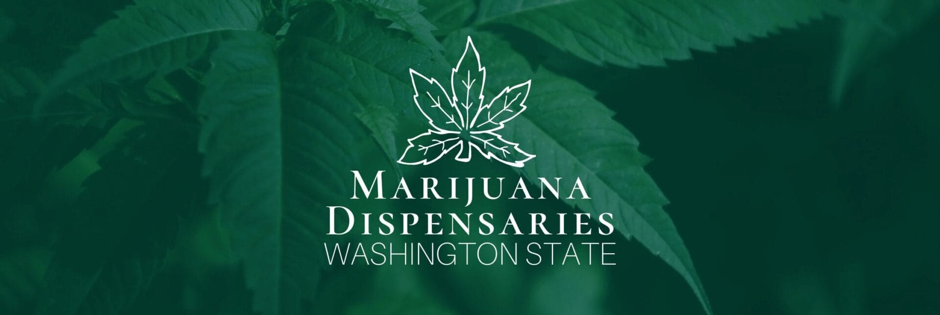 Marijuana Dispensaries in Washington State