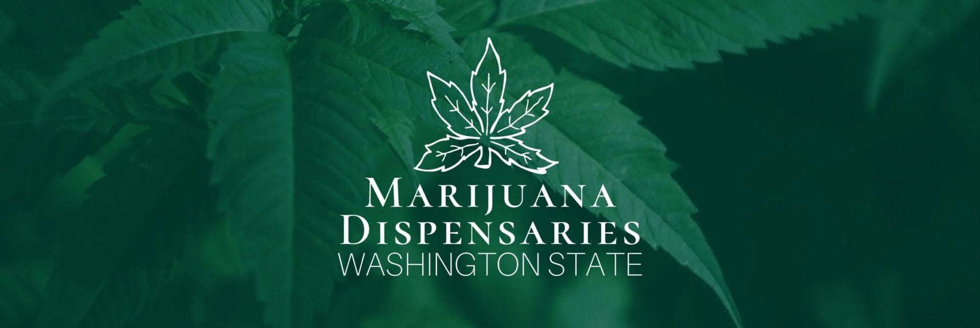Marijuana Dispensaries in Washington State Marijuana Dispensaries in Washington State