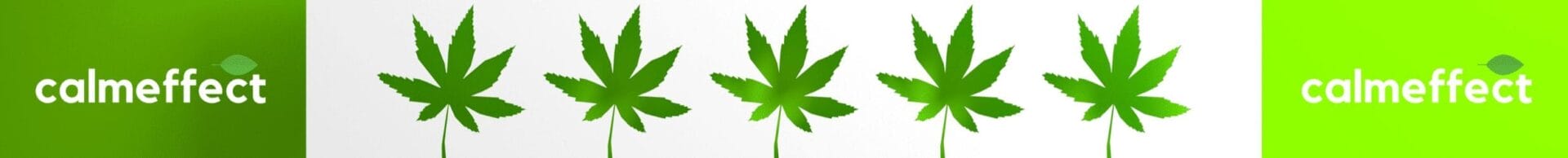 Florida Medical Marijuana Card Florida Medical Marijuana Discounts
