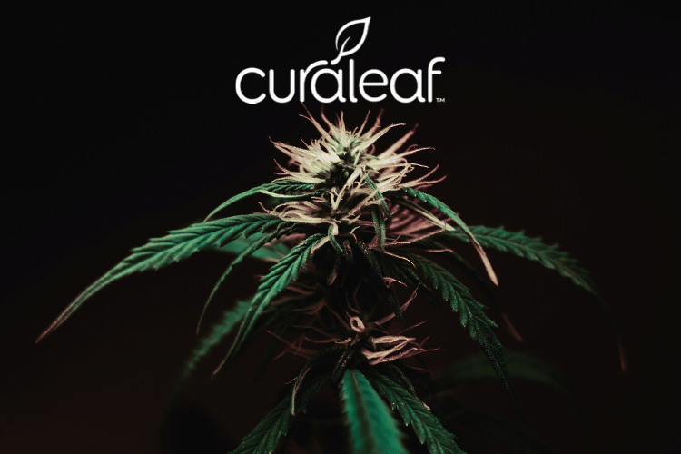 Curaleaf Dispensaries in Florida